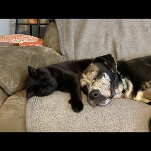 Meet your Posher, Corrine